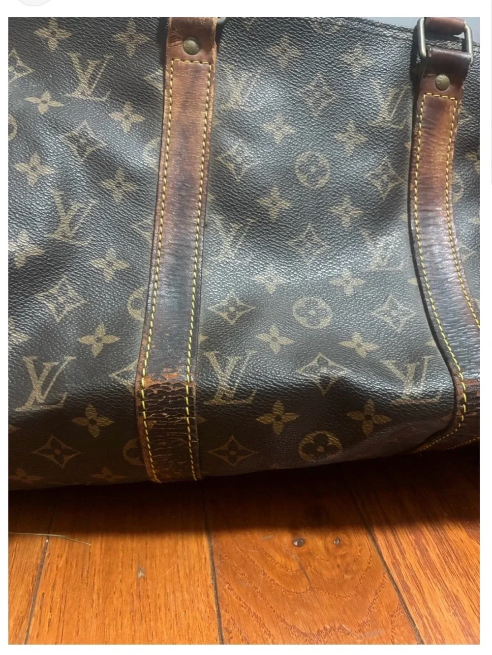Louis Vuitton authenticated bag